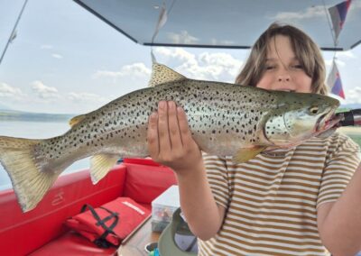 Lake_brown_trout_54cm